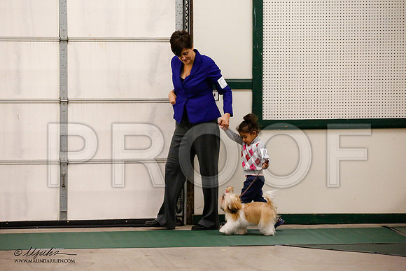 _JN_8498-NrmnNov2014-HR3