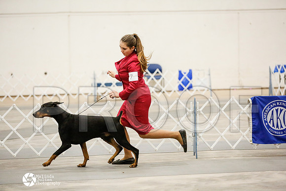 _RH_4815-AblnMay2014-web