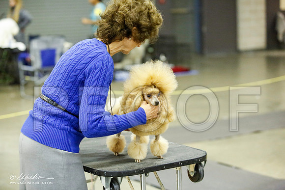 _JJ_5480-BeltonJan2015IABCA-HR3