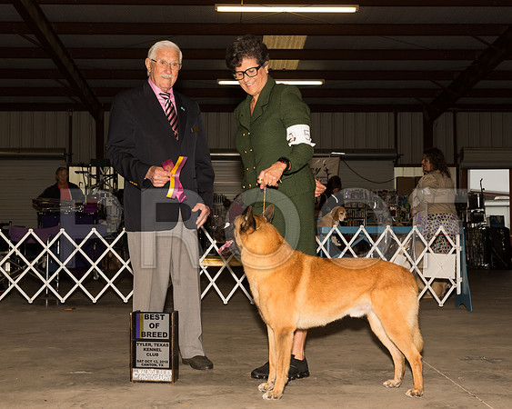 Belgian Malinois #5 Sat BOB OHBOB Judge Charles Trotter__ST_9761-Cntn2018-HR3