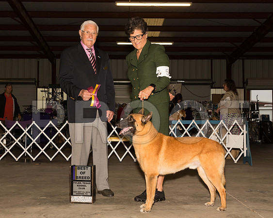 Belgian Malinois #5 Sat BOB OHBOB Judge Charles Trotter__ST_9762-Cntn2018-HR3