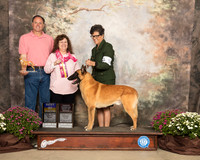 Belgian Malinois #5 Sat BOB OHBOB Judge Charles Trotter