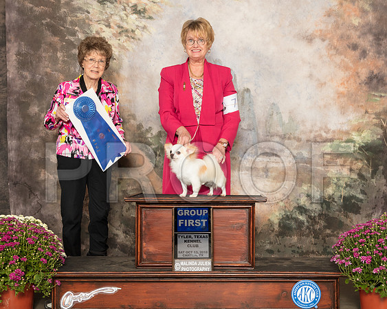 Chihuahua Long Coat #7 Sat G1 Judge Patricia Trotter_SSR_4151-Cntn2018-HR3