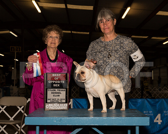 French Bulldog #6 Sat BOS BOW Judge Patricia Trotter__ST_9751-Cntn2018-HR3