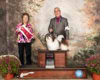 Havanese #14 Sat G2 Judge Patricia Trotter