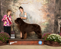 Newfoundland #7 Sat G2 Judge Patricia Trotter