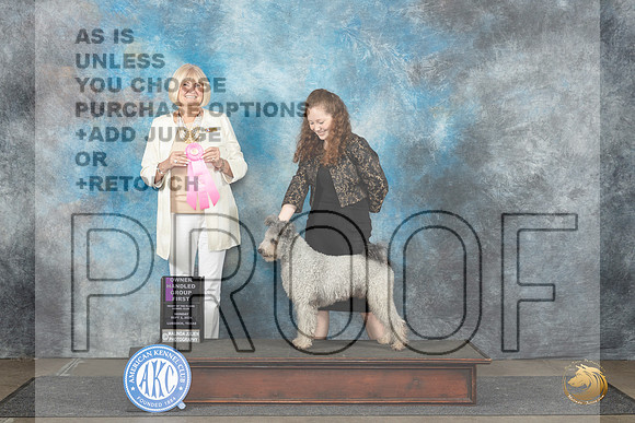 Pumi #5 Mon OHG1 Judge Debra Thornton__JP_4602_Lubbock_2024_HR3