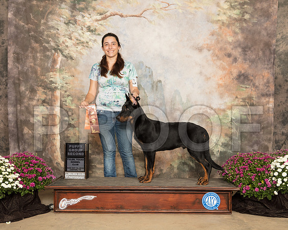 Beauceron #5 Sun PG2_SSR_4355-Cntn2018-HR3