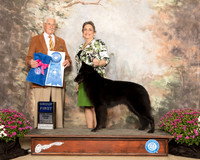 Belgian Sheepdog #6 Sat G1 Judge Charles Trotter