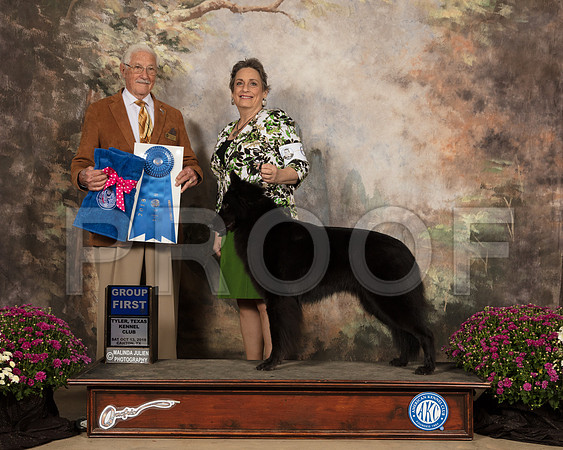 Belgian Sheepdog #6 Sat G1 Judge Charles Trotter_SSR_4278-Cntn2018-HR3
