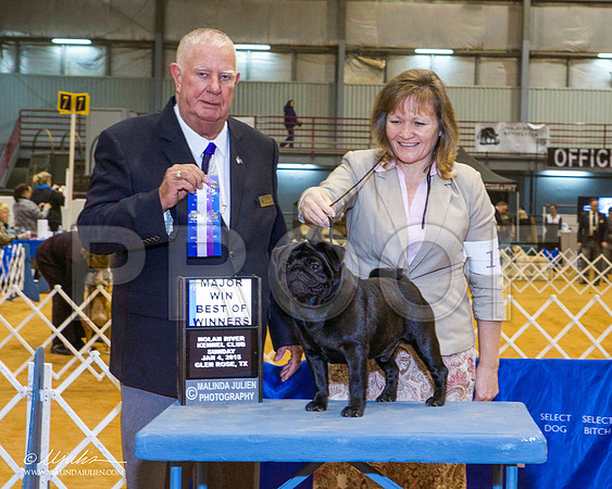 _MJ_5277-GlenRoseJan2015-HR3