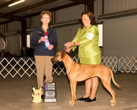 Rhodesian Ridgeback #8 Sun WB NCh Judge Patricia Trotter
