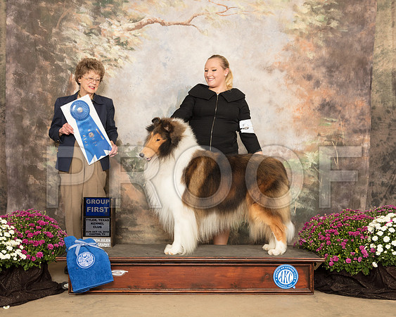 Collie Rough #5 Sun G1 Judge Patricia Trotter_SSR_4382-Cntn2018-HR3