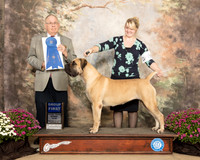 Boerbel #6 Sun G1 Judge Dr Donald Gill