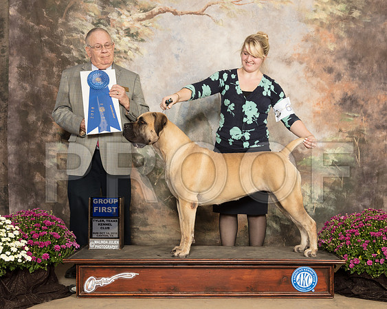 Boerbel #6 Sun G1 Judge Dr Donald Gill_SSR_4411-Cntn2018-HR3
