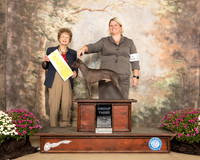 American Hairless Terrier #19 Sun G3 Judge Patricia Trotter