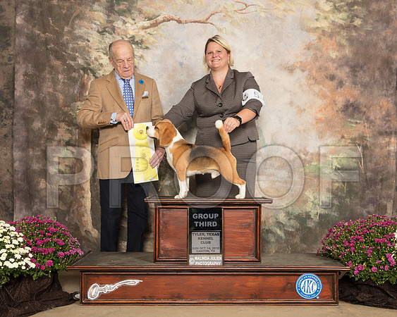 Beagle 13 #5 Sun G3 Judge Dr Gareth Morgan Jones_SSR_4447-Cntn2018-HR3