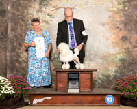 Poodle Toy #7 Sun G4 Judge Stephanie Hedgepath