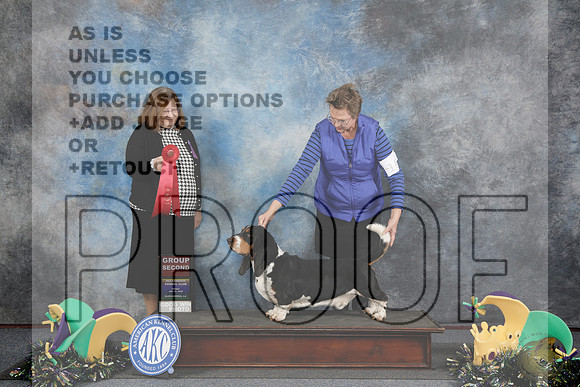Basset Hound #15 Fri G2 Judge Elizabeth Muthard_WP_2030-Alexandria 2025-HR3
