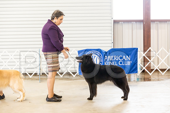 Club Best in Show Sat_JJJ_8961-Cntn2018-HR3