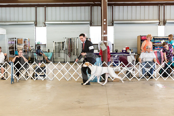 Club Best in Show Sun_JJJ_9281-Cntn2018-HR3