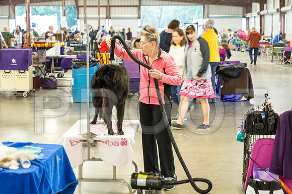 Club Exhibitors_JJJ_8932-Cntn2018-HR3