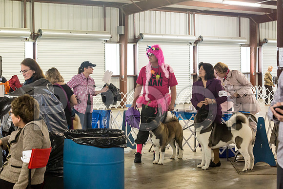 Club Exhibitors 2_JJJ_8950-Cntn2018-HR3