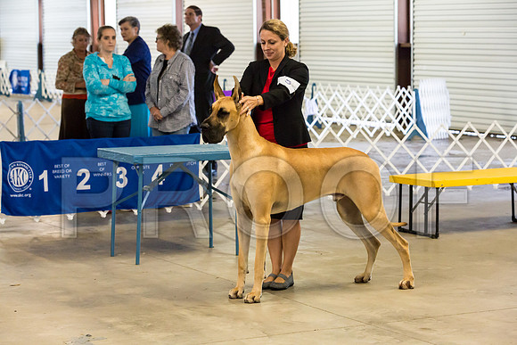 Club Owner Handled Best in Show Sat_JJJ_9028-Cntn2018-HR3