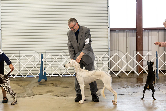 Club Owner Handled Best in Show Sat_JJJ_9033-Cntn2018-HR3