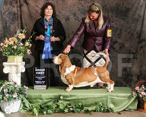 basset-3555-DntnMar14-HR3