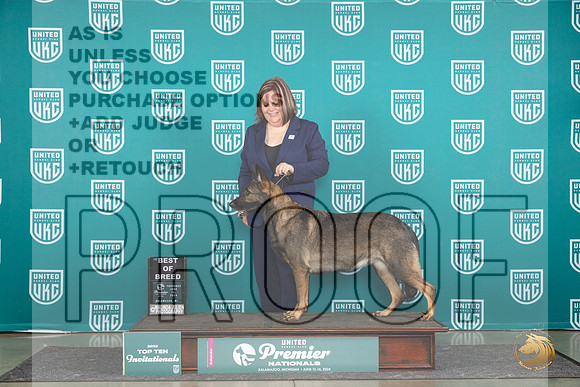 German Shepherd Dog #298 THur T10BOB Judge Stephanie Mueller__JP_0939_Premier_2024_HR3