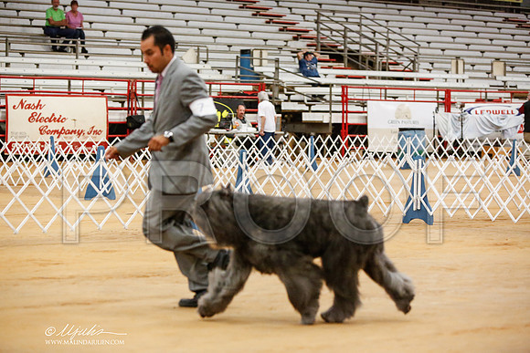 _JN_5306-TxArJun2014-HR3