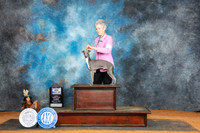 Italian Greyhound #11 Sun WDBOW Judge Tim Robbins