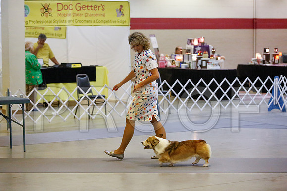 _JN_0824-AmarilloSept2014-HR3