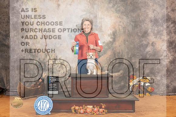 All American #41 Sat RNB1st Judge Shelley Hennessy_JP_1840_Marshall_2023_HR3