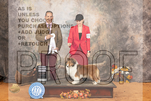 Shetland Sheedog #10 Sat G4 Judge Nicolas DeBedout_JP_2021_Marshall_2023_HR3