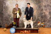 Pumi #8 Sat G3 Judge Nicolas DeBedout