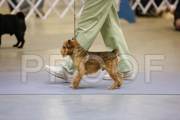 _JN_8540-AmarilloSept2014-HR3
