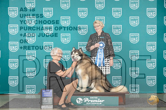 Alaskan Malamute #1301 Sat AG1 Judge Deb Allen__JP_2417_Premier_2024_HR3