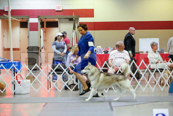 _JN_5314-AmarilloSept2014-HR3