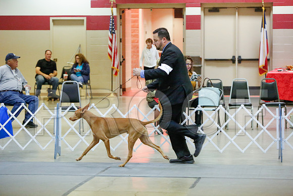 _JJ_3104-AmarilloSept2014-HR3