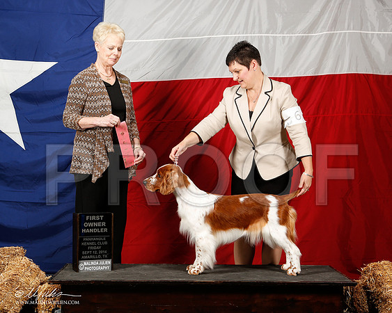 _ST_1524-2-AmarilloSep2014-HR3