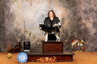 Alaskan Klee Kai #7 Sat BOB OG4 Judge Gina Schag