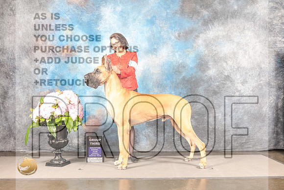 Great Dane #5 THUR G3 Judge Karen McFarlaneGreat Dane #5 THUR G3 Judge Karen McFarlane_MJ_8237_Houston_2022_HR3_Houston_2022_HR3