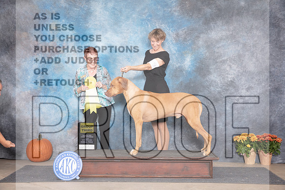 Rhodesian Ridegback #9 Fri G3 Judge Ann Meyer__JP_8296_Humble_2024_HR3