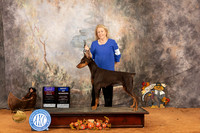 Doberman Pinscher #10 Sun BOBBOSOHBOB Judge Nicolas DeBedout
