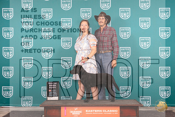 Labrador Retriever #159 Sat BOBP Judge Kathryn Baxter r__JP_2102_UKCEastern_2024_HR3