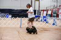 Lhasa Apso Sat Match Ring