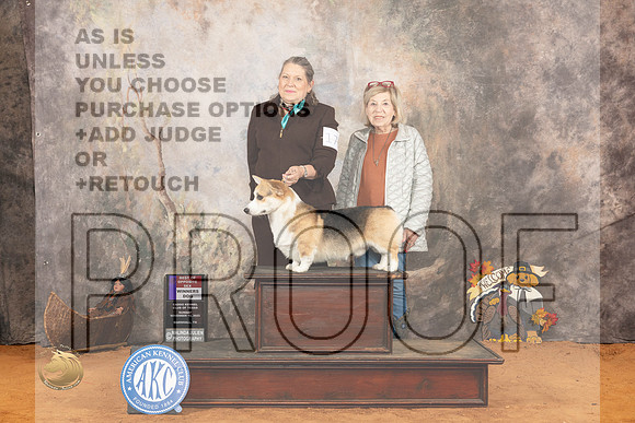 Pembroke Welsh Corgi #17 Sun WDBOS Judge  Robert Robinson_JP_2308_Marshall_2023_HR3