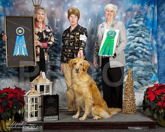 _ST_8766-DallasDec2014-HR3